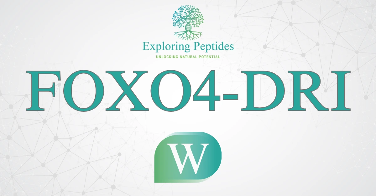FOXO4-DRI peptide Wikipedia image by Exploring Peptides logo for FOXO4-DRI information page