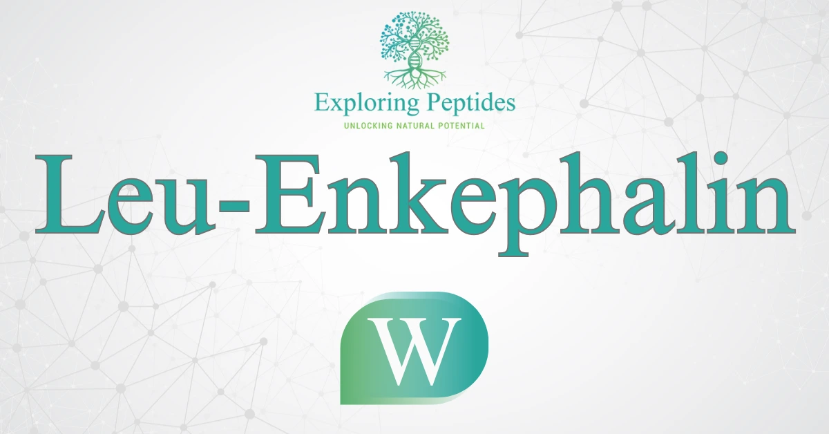 Leu-Enkephalin peptide Wikipedia image by Exploring Peptides logo for Leu-Enkephalin information page