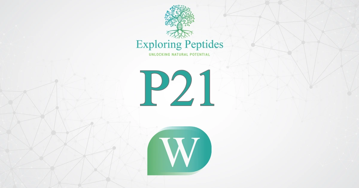 P21 peptide Wikipedia image by Exploring Peptides logo for P21 information page