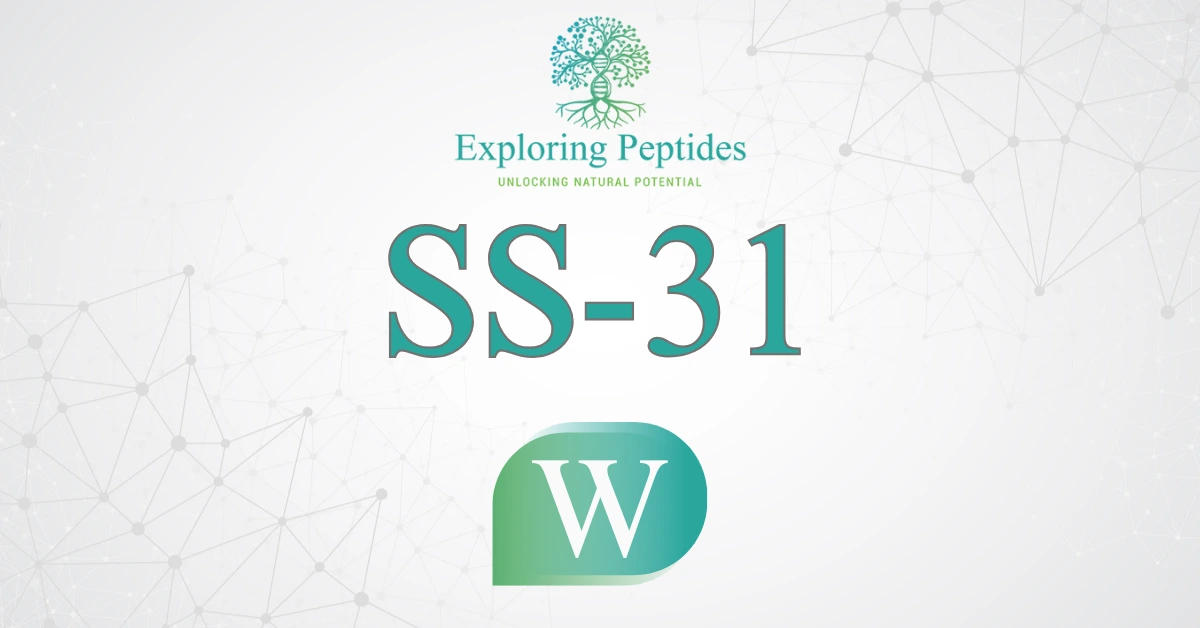 SS-31 peptide Wikipedia image by Exploring Peptides logo for SS-31 information page