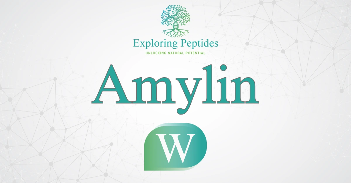 Amylin peptide Wikipedia image by Exploring Peptides logo for Amylin information page
