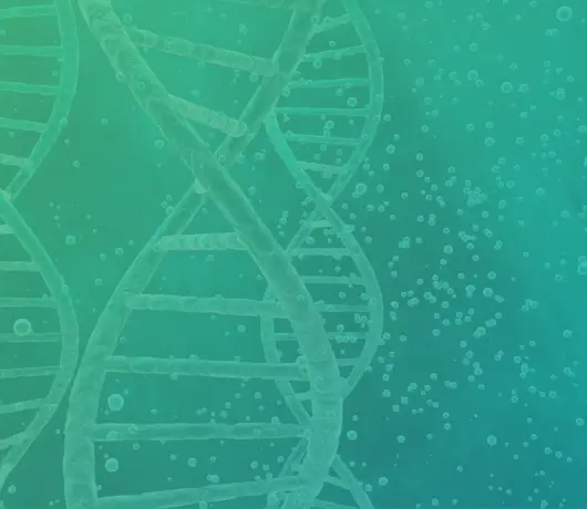 Contact Form bg Image Contact Form bg Image