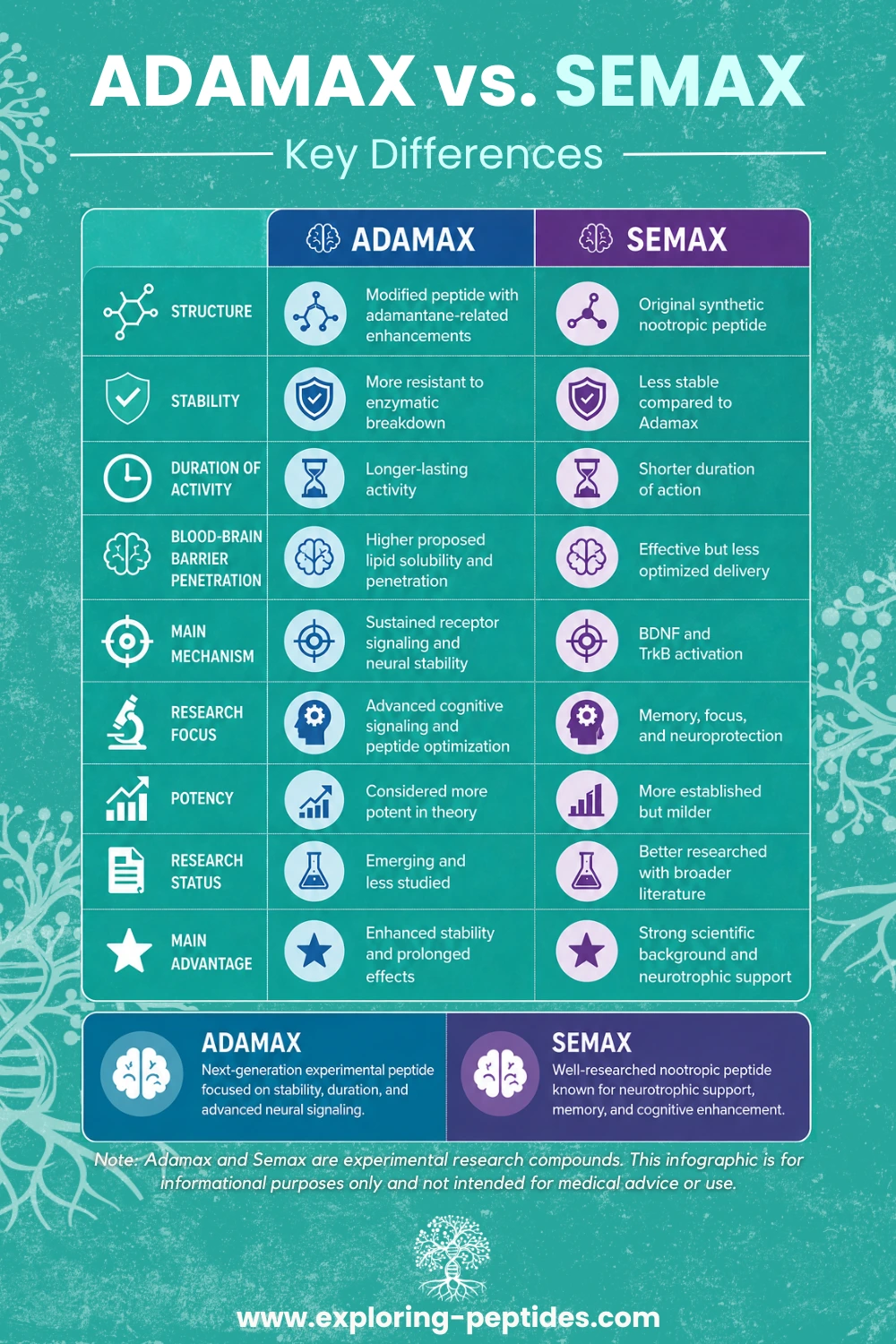 infographic showing the differences between adamax and semax