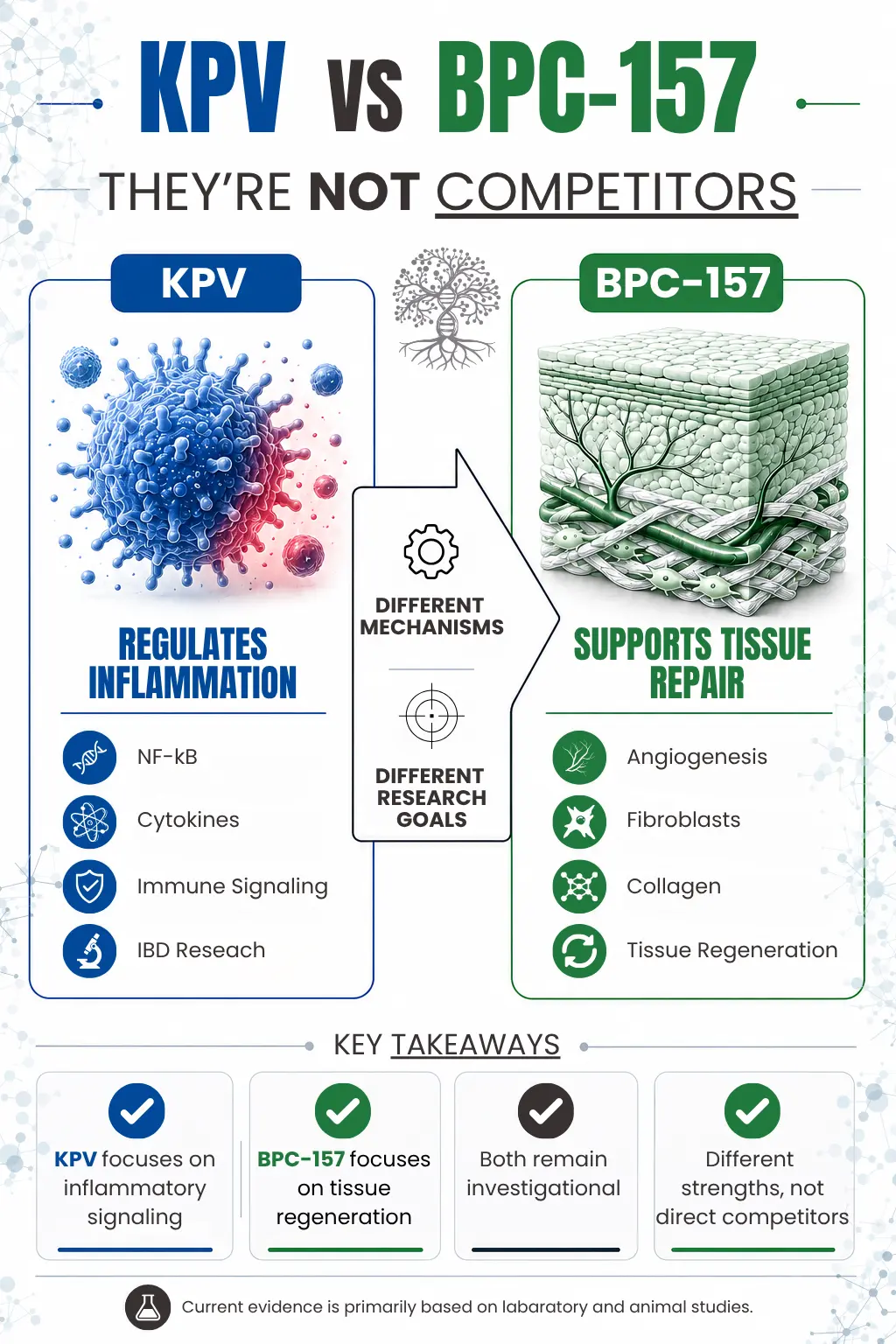 KPV vs BPC-157 peptide comparison infographic showing KPV research on inflammation, NF-κB, cytokines, immune signaling and IBD versus BPC-157 research on tissue repair, angiogenesis, fibroblasts, collagen and tissue regeneration.